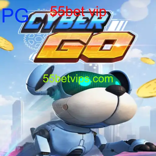 CyberGO